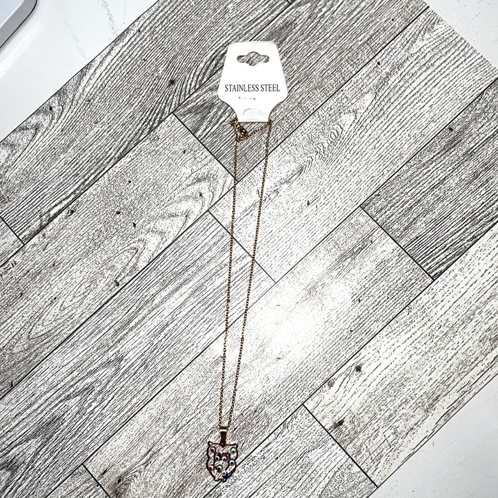 Owl evil eye 🧿 necklace